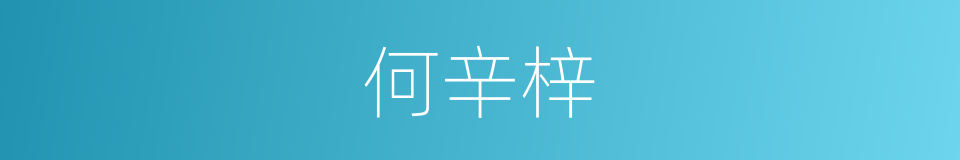 何辛梓的同义词