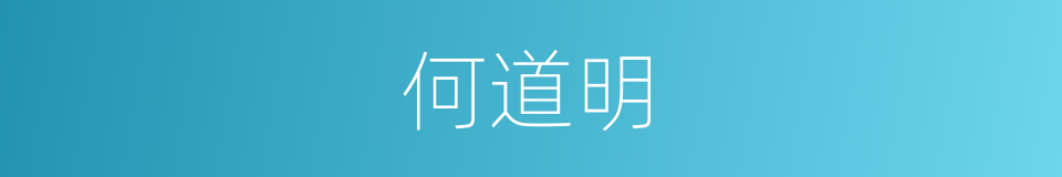 何道明的同义词