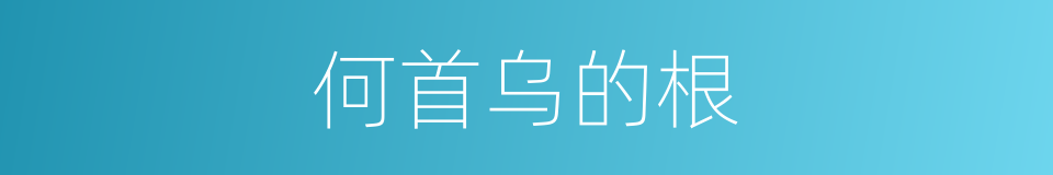 何首乌的根的同义词