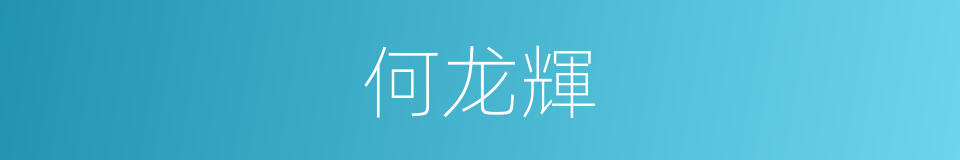 何龙輝的同義詞