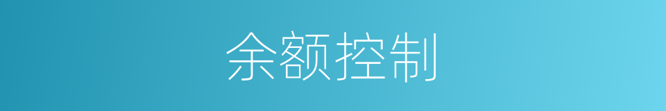 余额控制的同义词