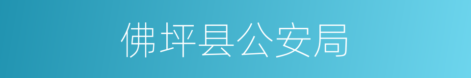 佛坪县公安局的同义词