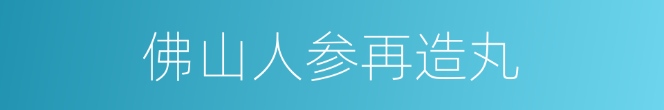 佛山人参再造丸的同义词