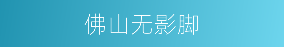 佛山无影脚的同义词