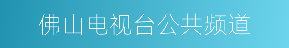 佛山电视台公共频道的同义词