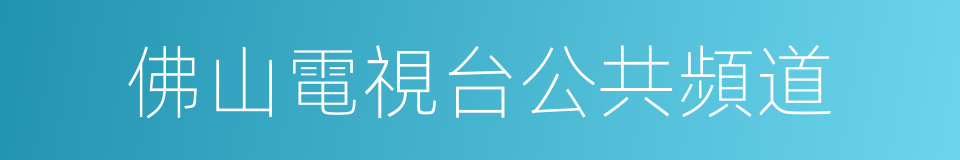 佛山電視台公共頻道的同義詞