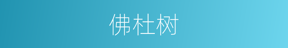 佛杜树的同义词