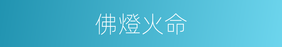 佛燈火命的意思