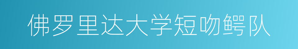 佛罗里达大学短吻鳄队的同义词