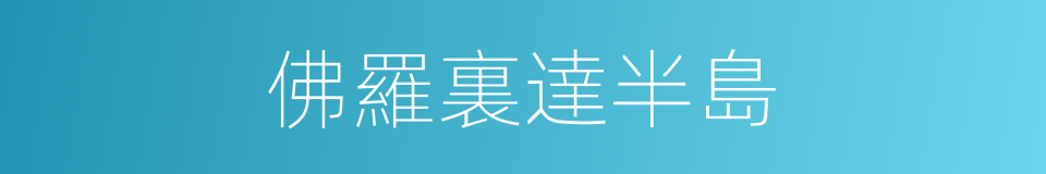 佛羅裏達半島的意思