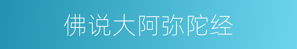 佛说大阿弥陀经的同义词
