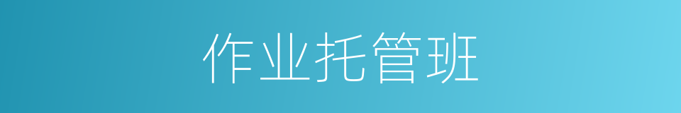作业托管班的同义词