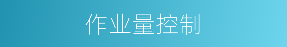 作业量控制的同义词