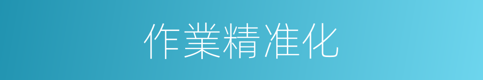 作業精准化的同義詞