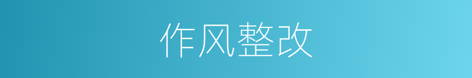 作风整改的同义词