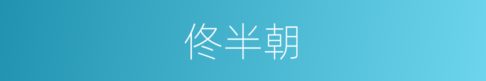 佟半朝的同义词
