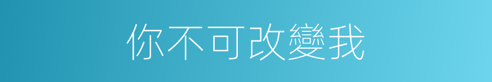 你不可改變我的同義詞