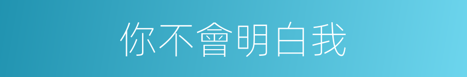 你不會明白我的同義詞