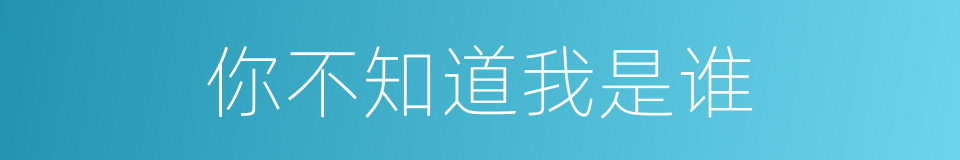 你不知道我是谁的同义词