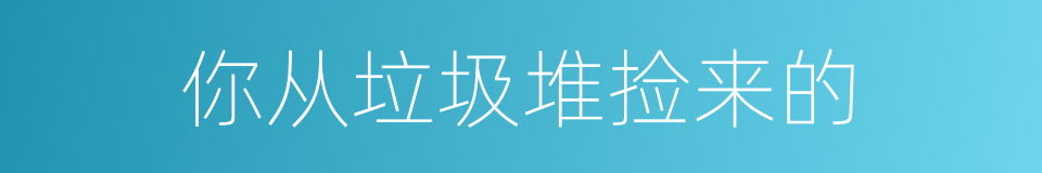 你从垃圾堆捡来的的同义词