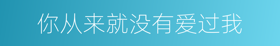 你从来就没有爱过我的同义词