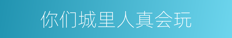 你们城里人真会玩的同义词