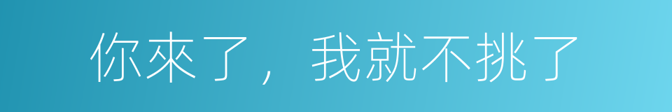 你來了，我就不挑了的同義詞