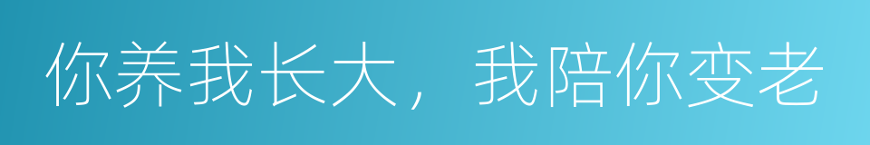 你养我长大，我陪你变老的同义词