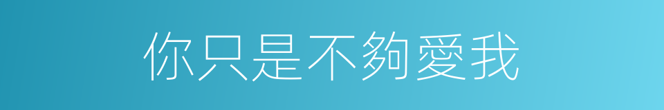 你只是不夠愛我的同義詞