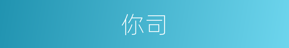 你司的同义词