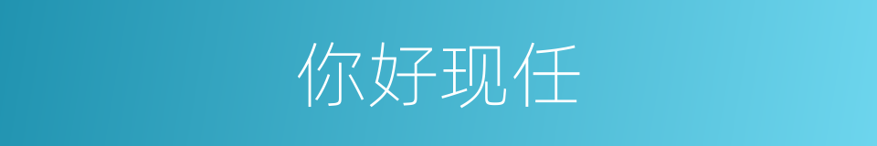 你好现任的同义词