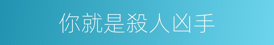 你就是殺人凶手的同義詞