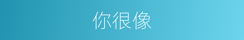 你很像的同义词