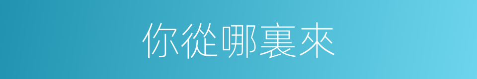 你從哪裏來的同義詞