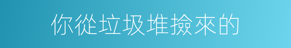 你從垃圾堆撿來的的同義詞