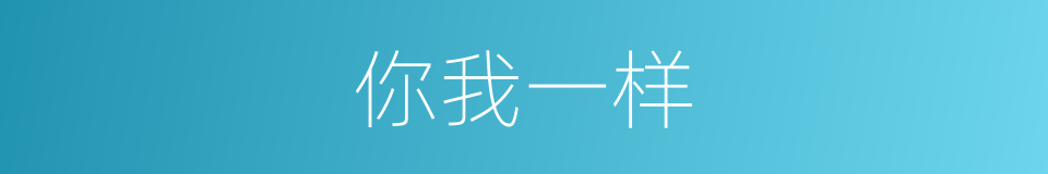 你我一样的同义词