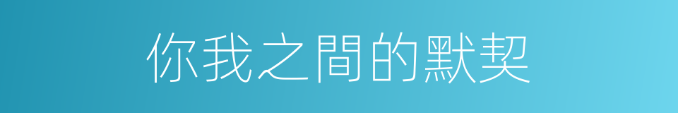 你我之間的默契的同義詞