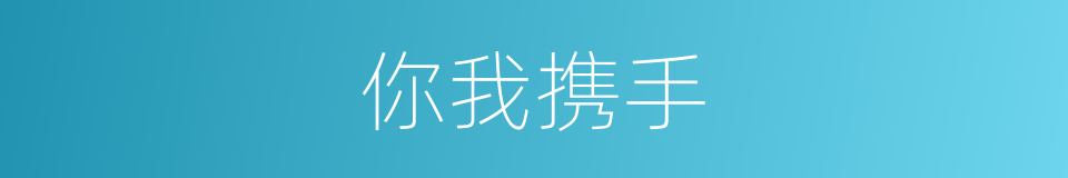 你我携手的同义词