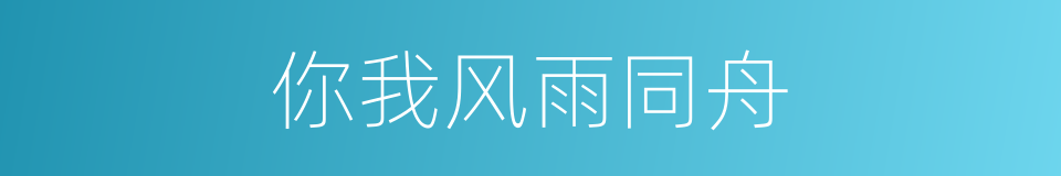 你我风雨同舟的同义词