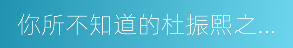 你所不知道的杜振熙之內部整修的同義詞