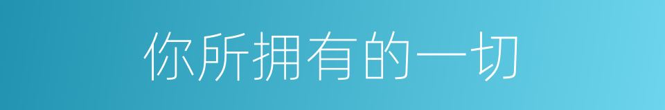 你所拥有的一切的同义词