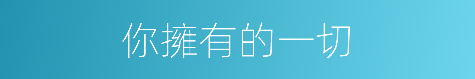 你擁有的一切的同義詞
