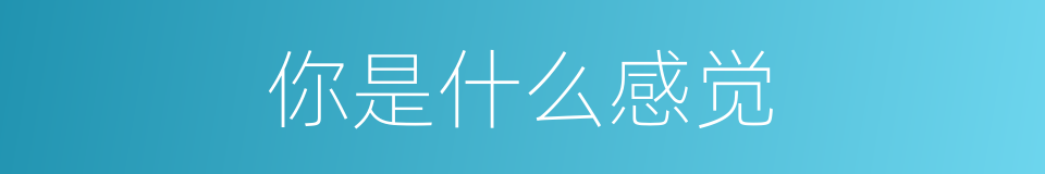 你是什么感觉的同义词