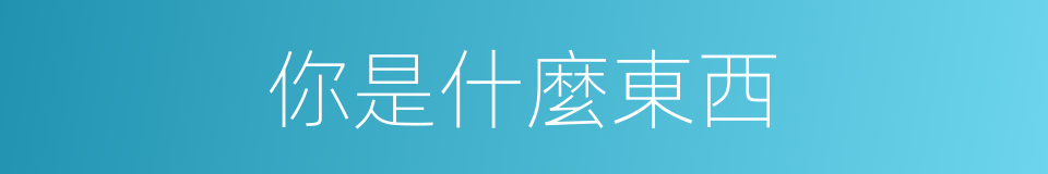 你是什麼東西的同義詞