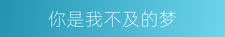 你是我不及的梦的同义词