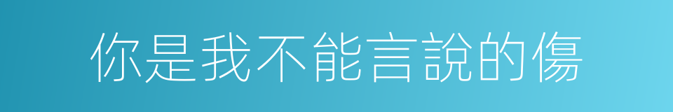 你是我不能言說的傷的同義詞