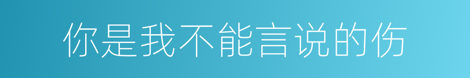 你是我不能言说的伤的同义词