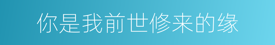 你是我前世修来的缘的同义词