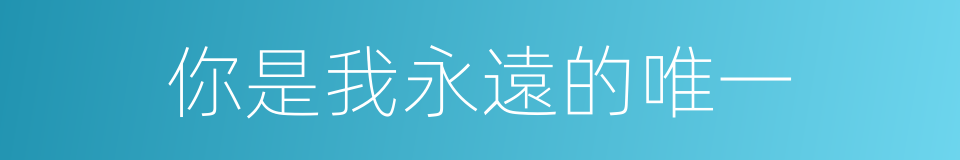 你是我永遠的唯一的同義詞