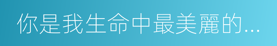 你是我生命中最美麗的相遇的同義詞